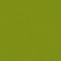 P2 EUROLINE 1131 (оливково-желтый)